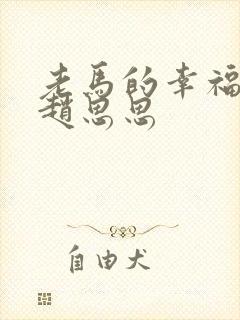 老马的幸福生活赵思思