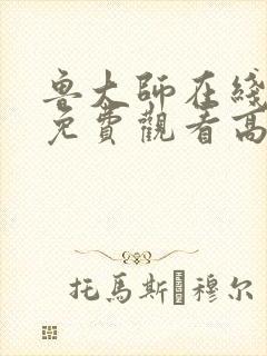 鲁大师在线观看免费观看高清电视剧