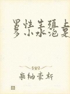 男性生殖上有很多小水泡是啥情况