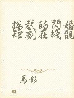 总裁的闪婚甜妻短剧在线观看