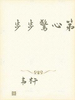 步步惊心第二部封面