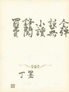 罗铮小说全文免费阅读无弹窗