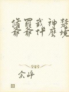 修罗武神楚枫的爷爷什么境界