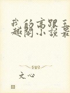 我的高跟玉足笔趣阁小说最新