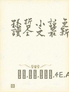 孙哲小说免费阅读全文最新章节