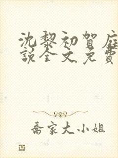 沈黎初贺庭安小说全文免费阅读