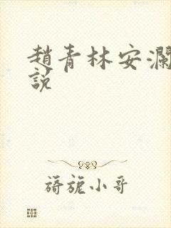 赵青林安澜的小说