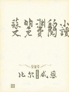 苏明渊的小说全文免费阅读无弹窗