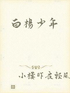 白杨少年封面