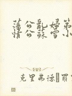 荡公乱妇第1章情公苏雪小说