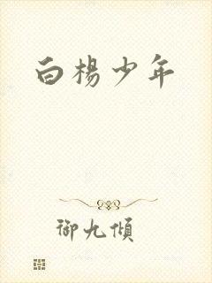 白杨少年封面