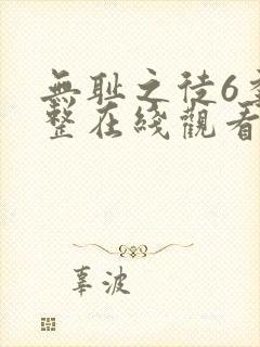 无耻之徒6季完整在线观看高清美剧