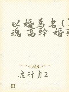 以婚为名 (军魂 高干 婚恋)