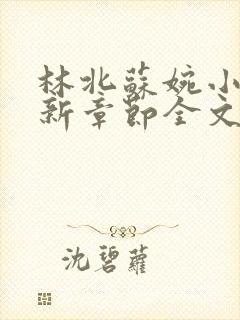 林北苏婉小说最新章节全文阅读