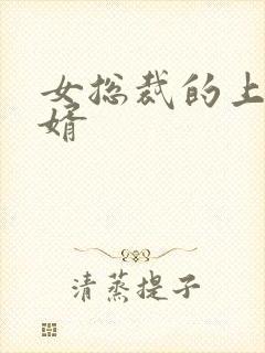 女总裁的上门女婿