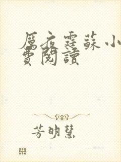 厉夜霆苏小汐免费阅读