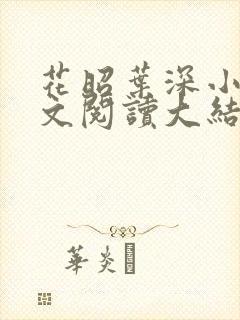 花昭叶深小说全文阅读大结局封面