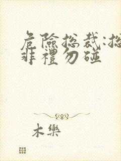 危险总裁:总裁非礼勿碰