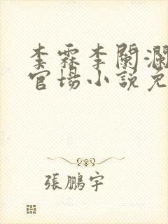 李霖李阑澜巅峰官场小说免费阅读