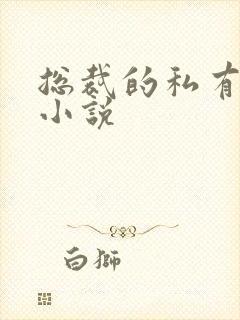 总裁的私有宝贝小说封面