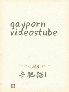 gaypornvideostube