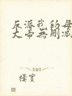 反派我的母亲是大帝无删减