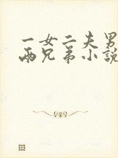 一女二夫男主是两兄弟小说