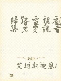 归路电视剧30集免费观看全集