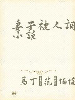 妻子被人调教类小说