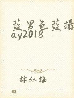 蓝男色蓝摄摄gay2018