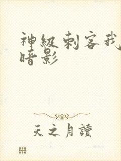 神级刺客我既是暗影