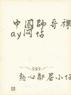 中国帅哥裸体gay网站