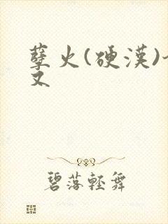 孽火(硬汉)今又