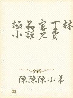 极品家丁林晚荣小说免费