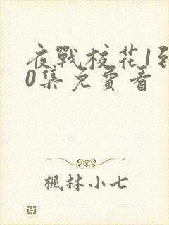 夜战校花1到60集免费看