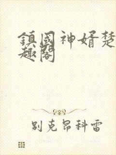 镇国神婿楚尘笔趣阁