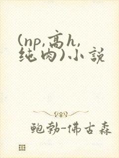 (np,高h,纯肉)小说