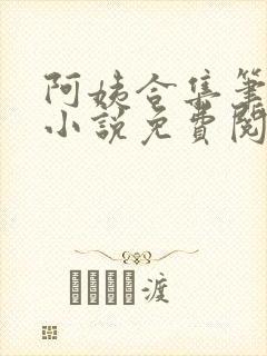 阿姨合集笔趣阁小说免费阅读