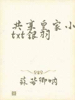 共享皇家小公主txt银羽