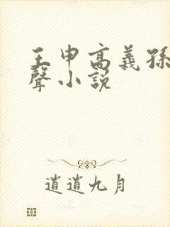 王申高义孙倩有声小说