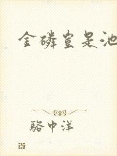 金磷岂是池中物封面