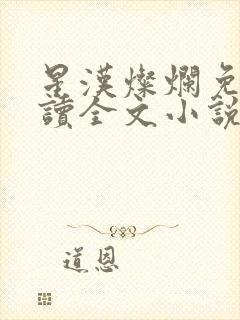 星汉灿烂免费阅读全文小说