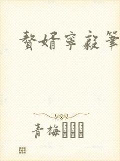 赘婿宁毅笔趣阁封面