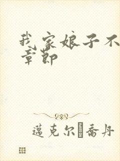 我家娘子不对劲章节