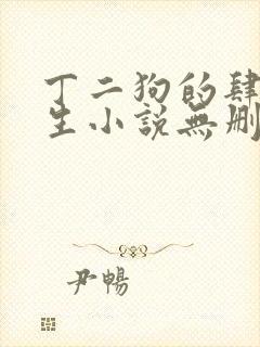 丁二狗的肆意人生小说无删减txt