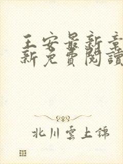 王安最新章节更新免费阅读