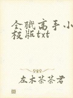 全职高手小说精校版txt