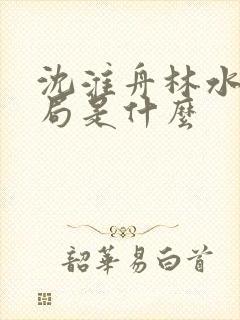 沈淮舟林水伊结局是什么封面