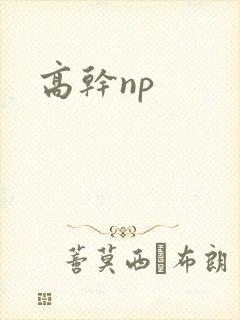 高干np