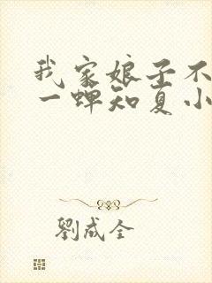 我家娘子不对劲一蝉知夏小说最新章节列表封面